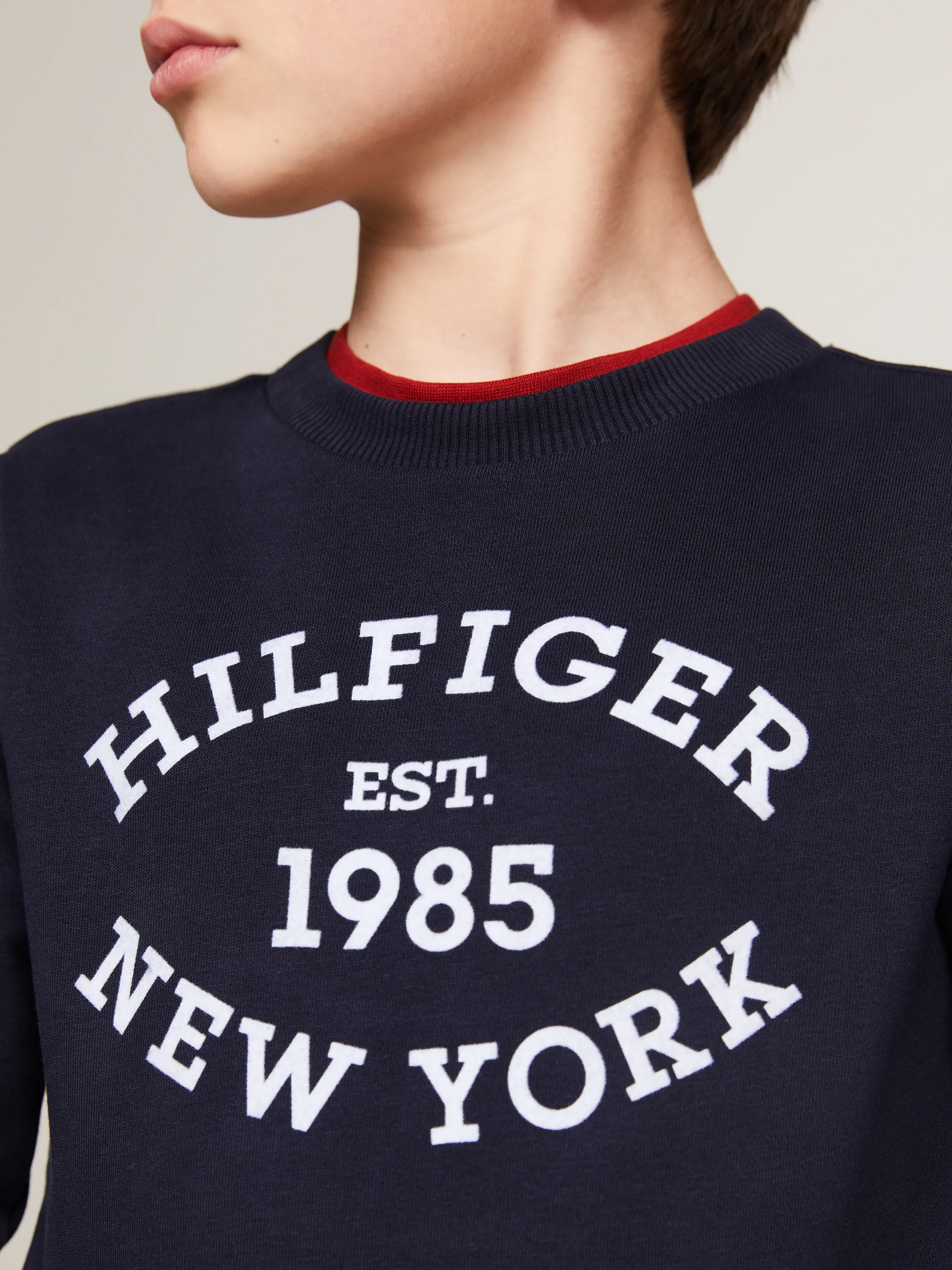 Boys 3-7 Hilfiger Monotype Flock Logo Sweatshirt | Sweatshirts & Hoodies | Tommy Hilfiger