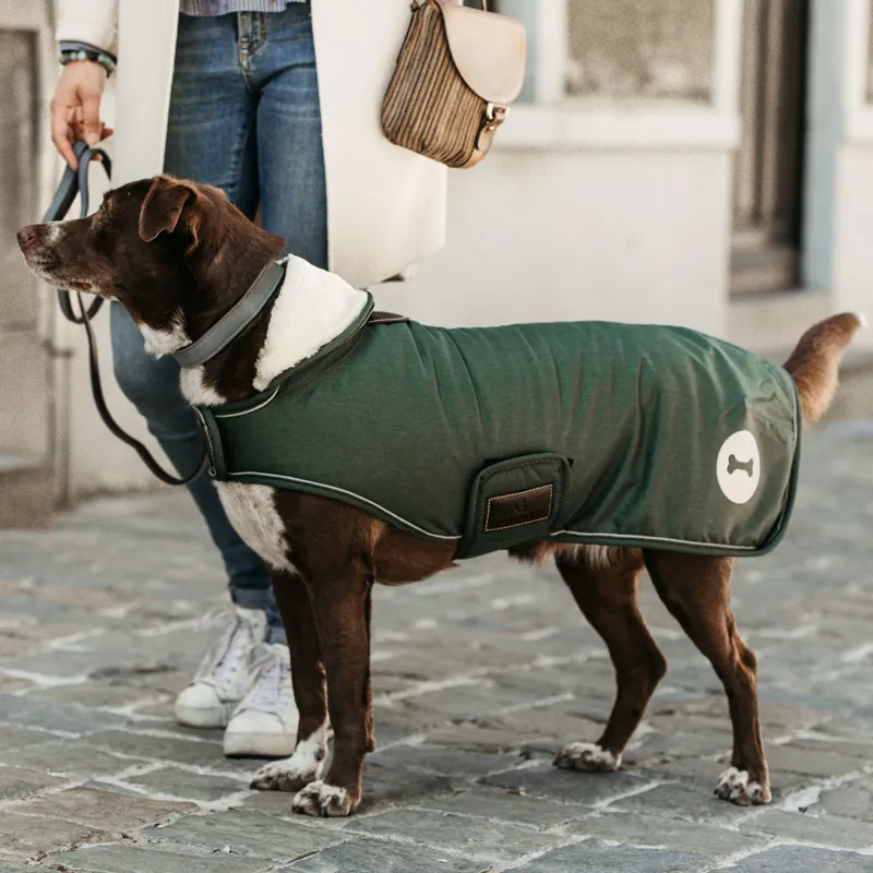 Kentucky Waterproof 300g Dog Coat - Olive