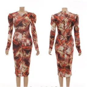 Long Sleeve Print Bodycon Dress