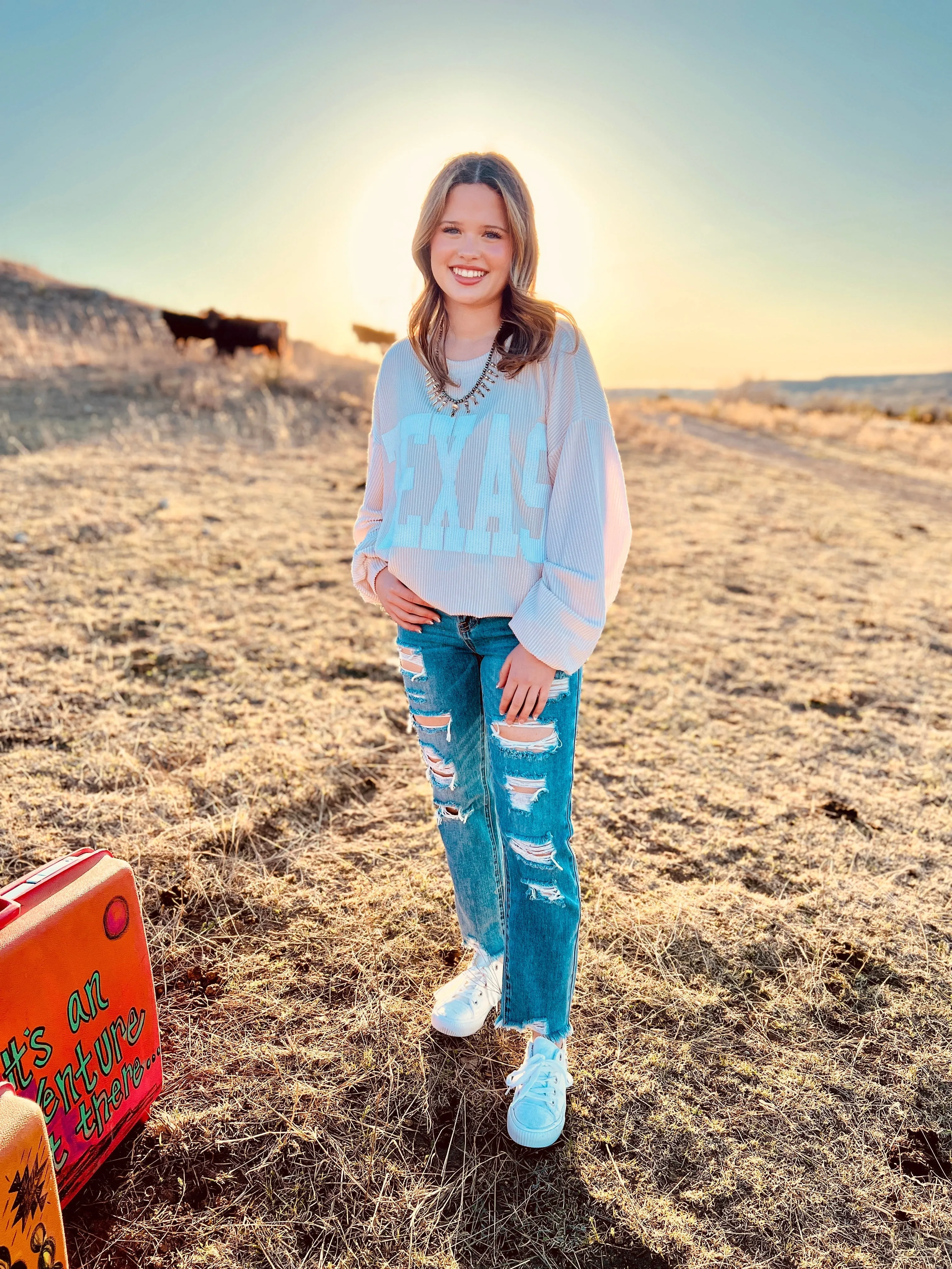 The Texas Graphic Sweatshirt (MULTIPLE COLORS)