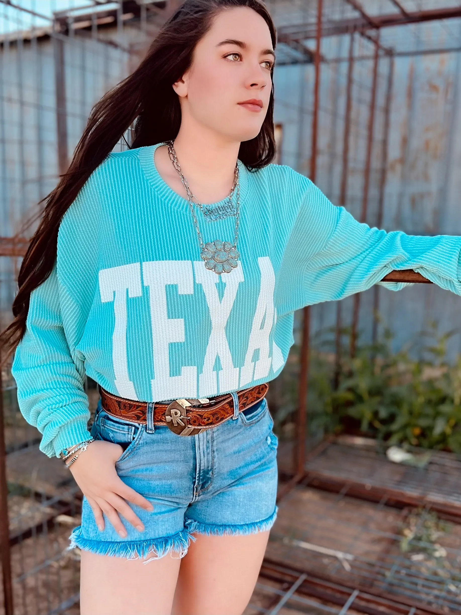 The Texas Graphic Sweatshirt (MULTIPLE COLORS)