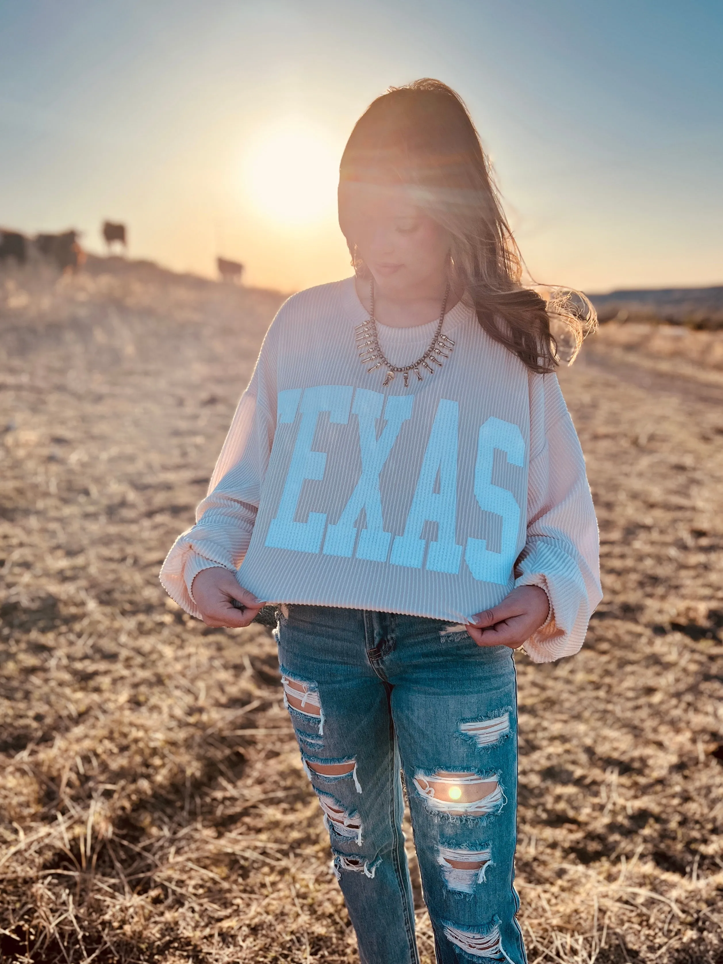 The Texas Graphic Sweatshirt (MULTIPLE COLORS)